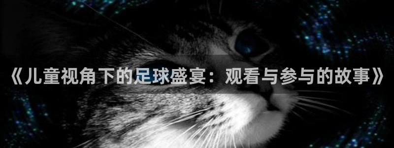  《儿童视角下的足球盛宴：观看与参与的故事》