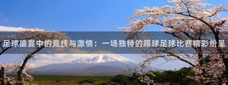  足球盛宴中的竞技与激情：一场独特的踢球足球比赛精彩纷呈