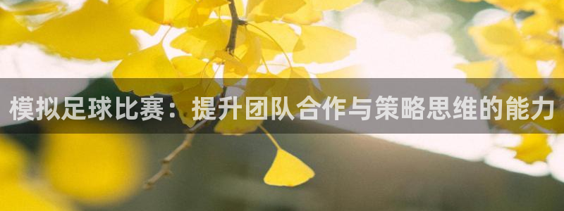  模拟足球比赛：提升团队合作与策略思维的能力