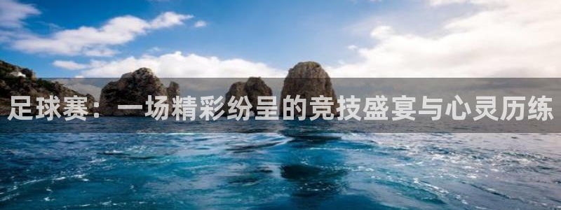  足球赛：一场精彩纷呈的竞技盛宴与心灵历练