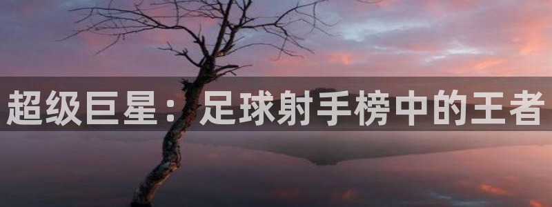 超级巨星：足球射手榜中的王者