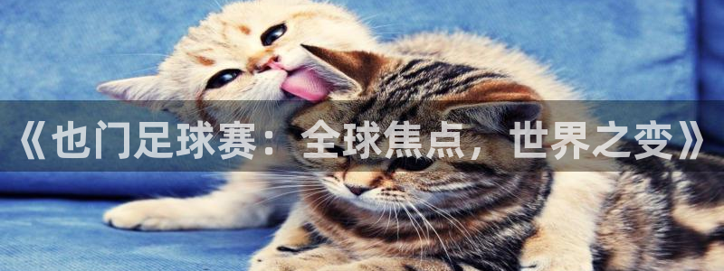 《也门足球赛：全球焦点，世界之变》