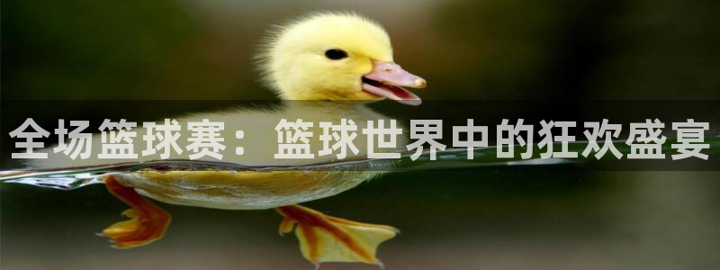 全场篮球赛：篮球世界中的狂欢盛宴