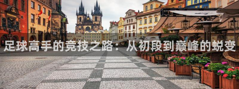  足球高手的竞技之路：从初段到巅峰的蜕变
