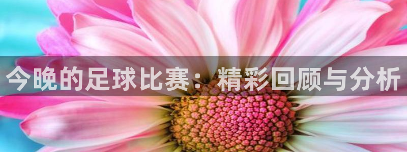 今晚的足球比赛：精彩回顾与分析