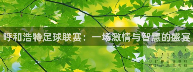 呼和浩特足球联赛：一场激情与智慧的盛宴