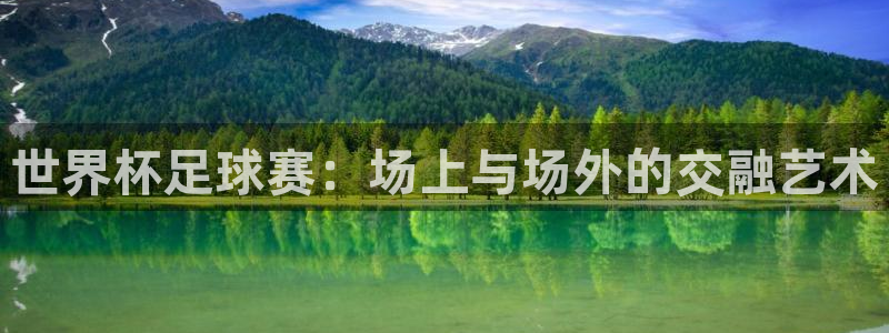 世界杯足球赛：场上与场外的交融艺术