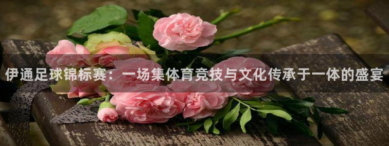  伊通足球锦标赛：一场集体育竞技与文化传承于一体的盛宴
