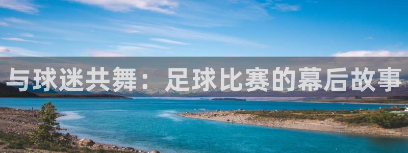  与球迷共舞：足球比赛的幕后故事