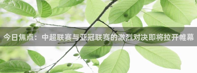 今日焦点：中超联赛与亚冠联赛的激烈对
