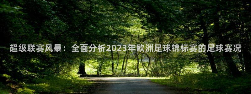 超级联赛风暴：全面分析2023年欧洲