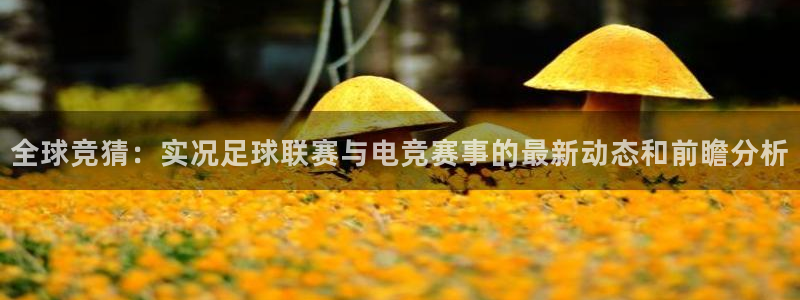 全球竞猜：实况足球联赛与电竞赛事的最