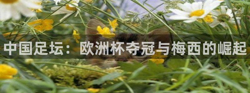 中国足坛：欧洲杯夺冠与梅西的崛起