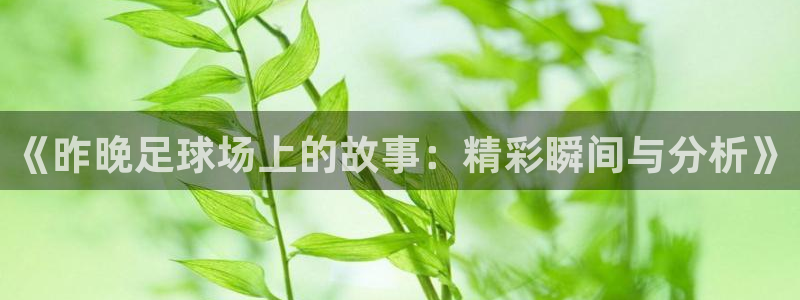 《昨晚足球场上的故事：精彩瞬间与分析