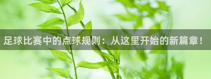 足球比赛中的点球规则：从这里开始的新