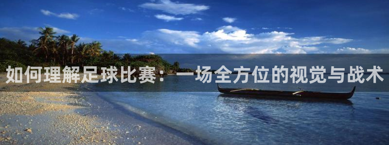 如何理解足球比赛：一场全方位的视觉与