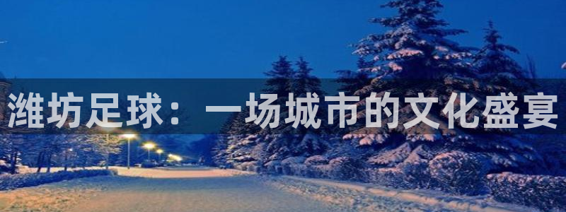 潍坊足球：一场城市的文化盛宴