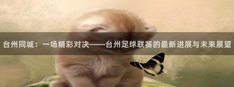  台州同城：一场精彩对决——台州足球联赛的最新进展与未来展望