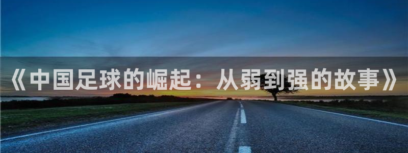  《中国足球的崛起：从弱到强的故事》