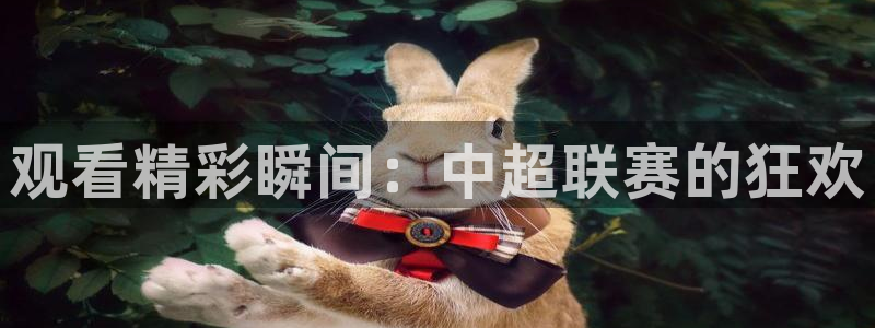 观看精彩瞬间：中超联赛的狂欢