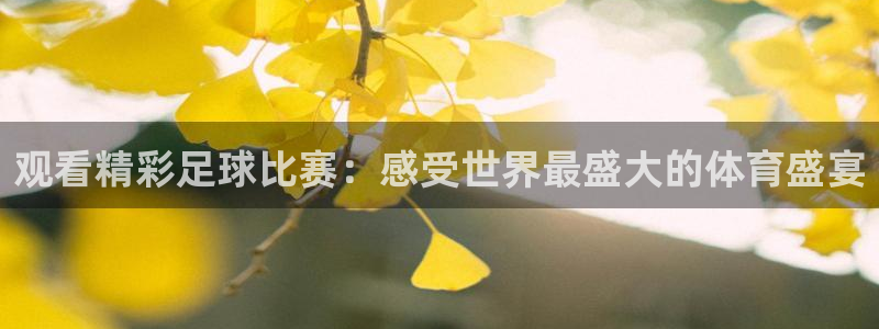 观看精彩足球比赛：感受世界最盛大的体育盛宴