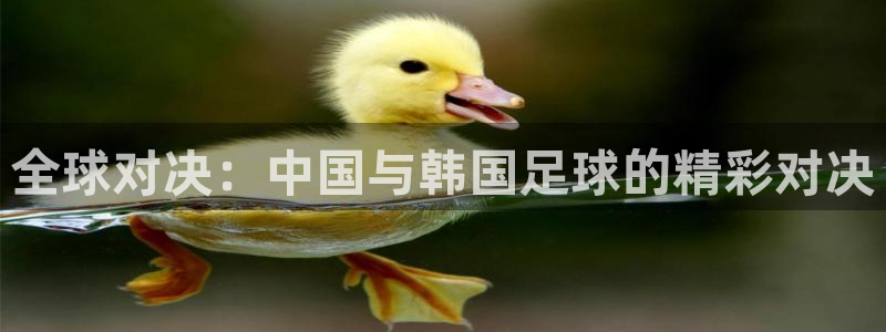 全球对决：中国与韩国足球的精彩对决