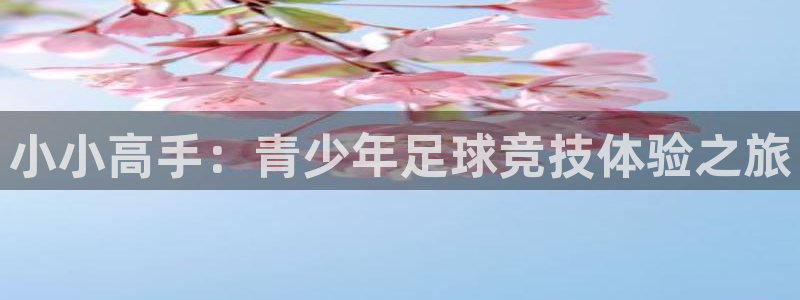  小小高手：青少年足球竞技体验之旅