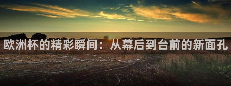搜球直播：欧洲杯的精彩瞬间：从幕后到台前的新面孔
