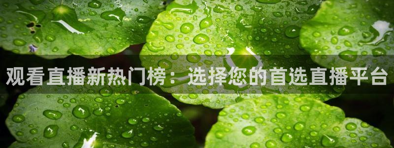 nba直播搜球吧：观看直播新热门榜：选择您的首选直播平台