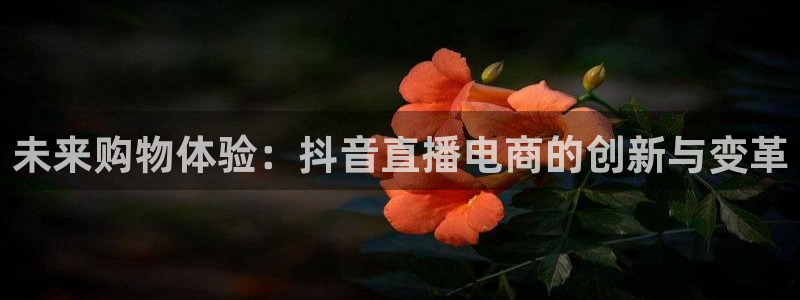 搜球体育官网：未来购物体验：抖音直播电商的创新与变革