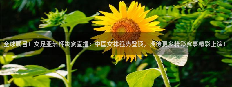搜球吧直播nba：全球瞩目！女足亚洲杯决赛直播：中国女排强势登顶，期待更多精彩赛事精彩上演！