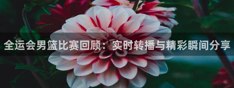 搜球吧直播nba直播