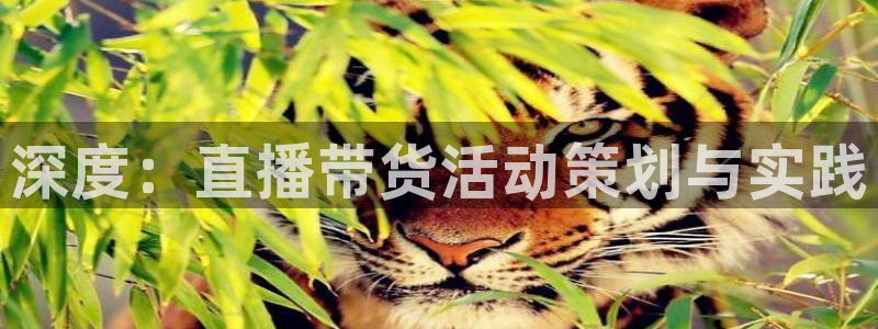 搜球吧 直播：深度：直播带货活动策划与实践