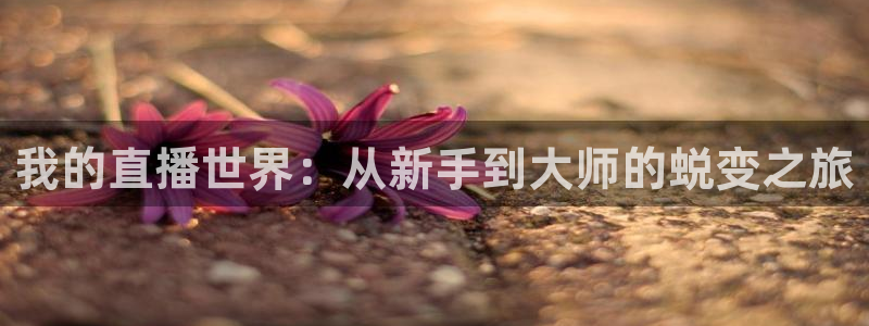 搜球吧8直播