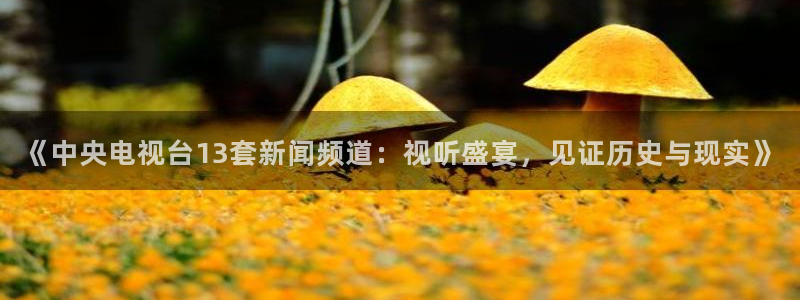 搜球吧体育直播