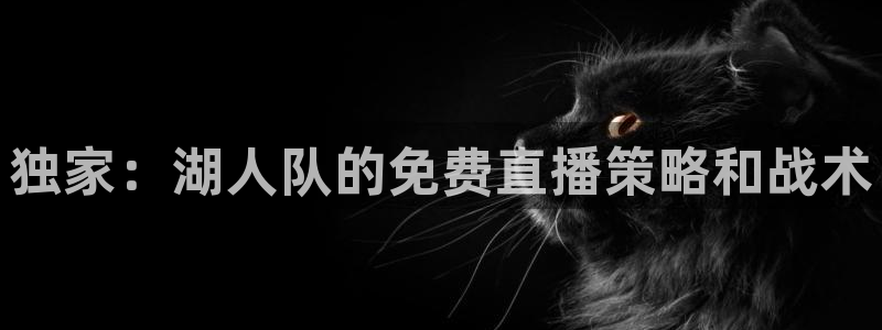 搜球吧零点吧nba直播