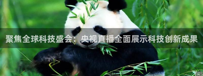 搜球直播吧：聚焦全球科技盛会：央视直播全面展示科技创新成果