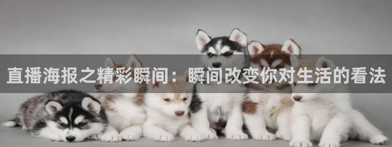 搜球吧8直播：直播海报之精彩瞬间：瞬间改变你对生活的看法